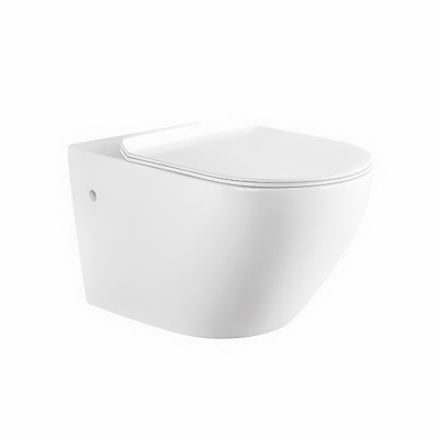 New style chinese sanitary ware bathroom designs factory direct sell washdown wall hung toilet bowl